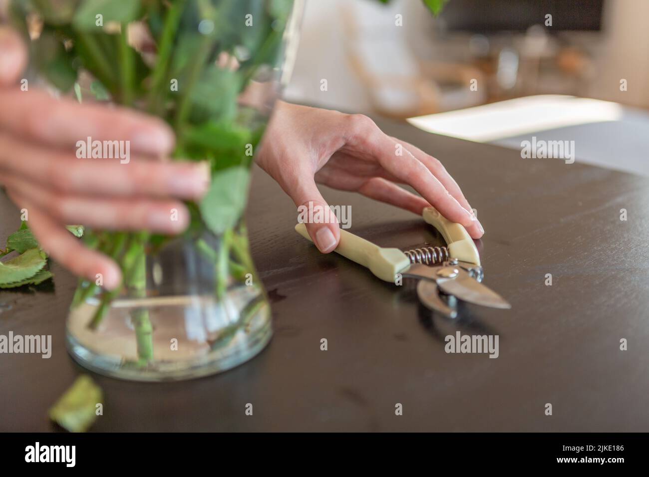Women hands holding a vase and garden scissors Stock Photo