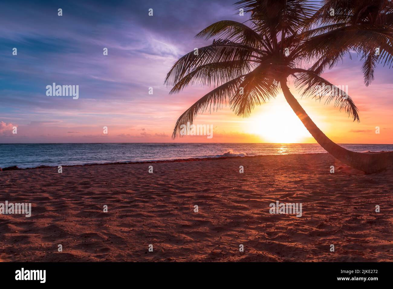 Beach Sunrise with Palm Tree Stock Photo - Alamy