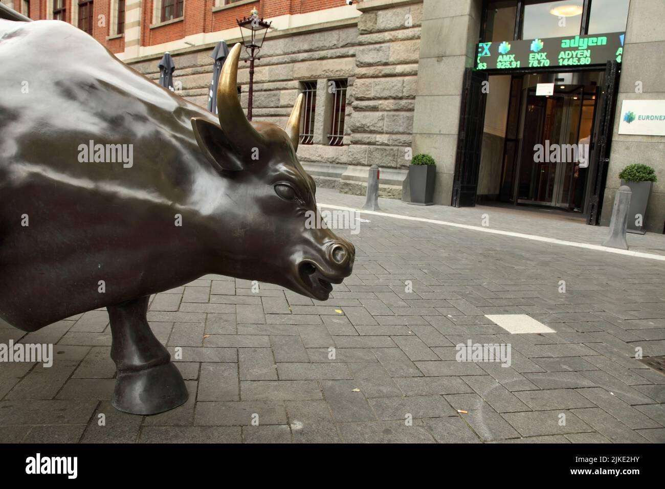 Bull statue outside the Amsterdam Stock Exchange, Beursplein, Amsterdam, Netherlands. Stock Photo