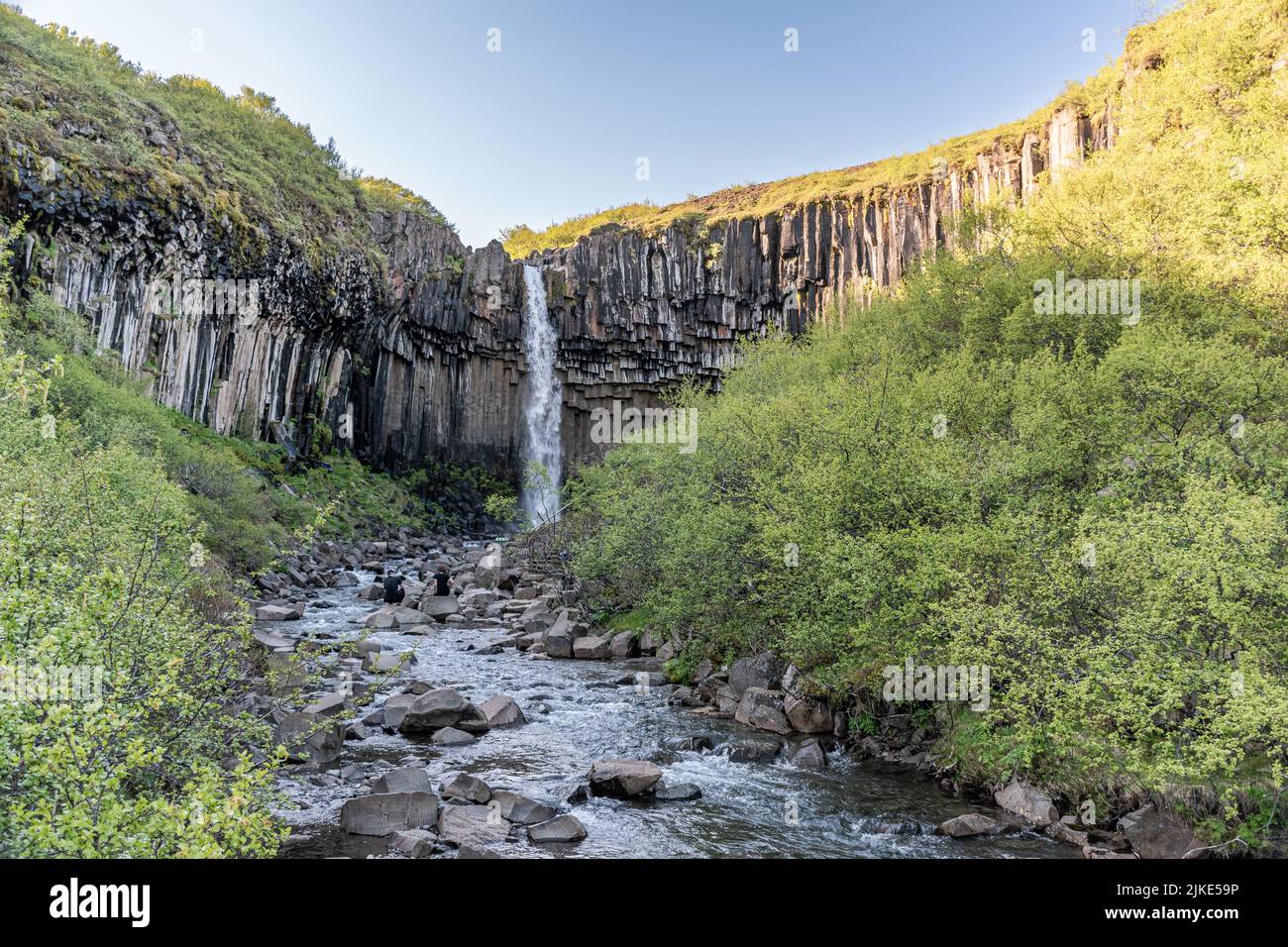Svartifoss waterfall in Skaftafell National Park in Iceland, surrounded by dark basalt columns Stock Photo