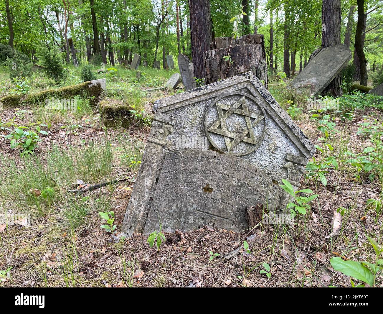 Ruins of the old Jewish cemetery in Otwock Poland cmentarz żydowski w Otwock headstones jewish graveyard jewish graveside beit kvarot jewish tombstone Stock Photo