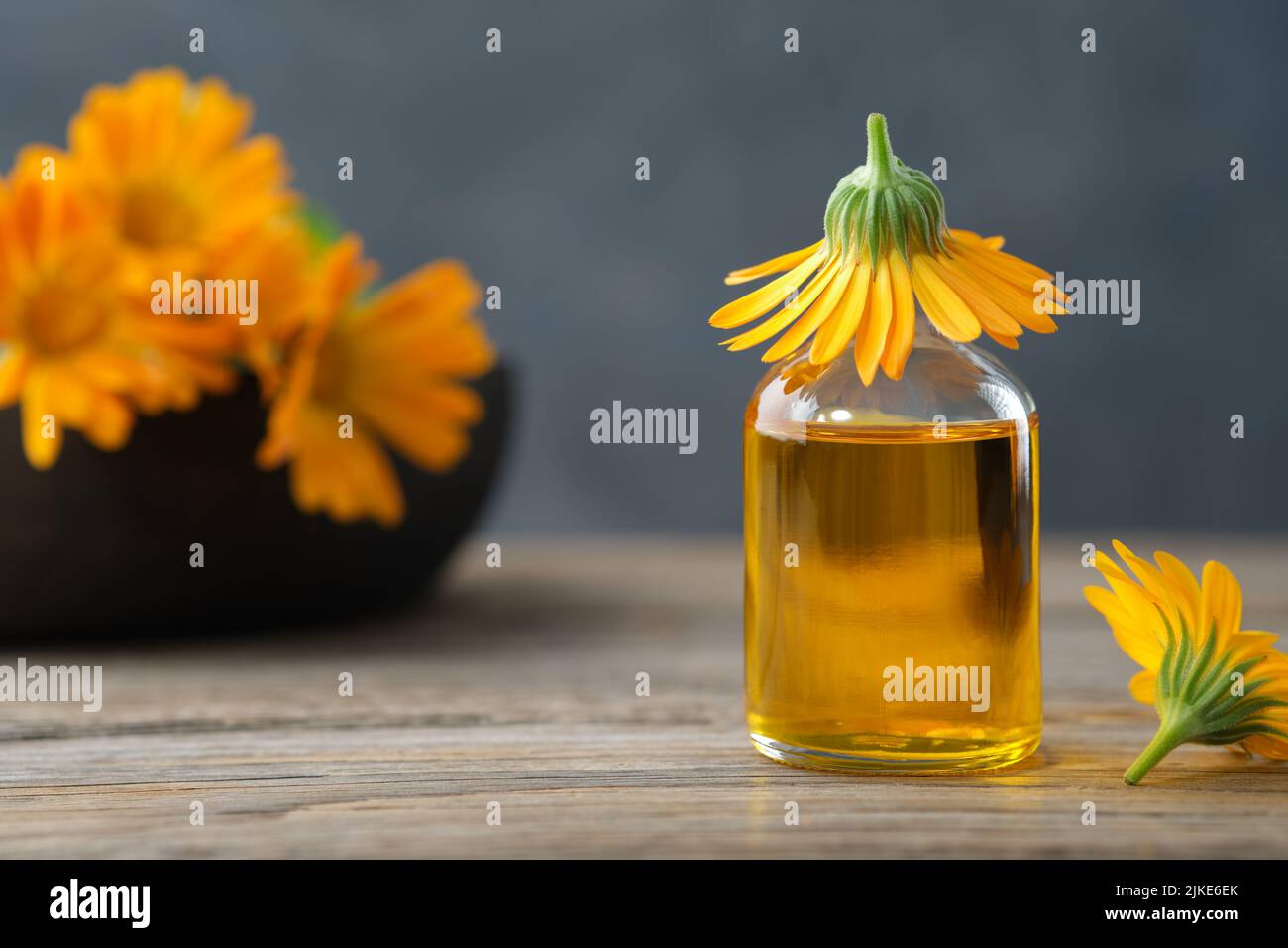 Bottle of calendula essential oil or infusion and marigold flowers on background. Alternative herbal medicine. Stock Photo