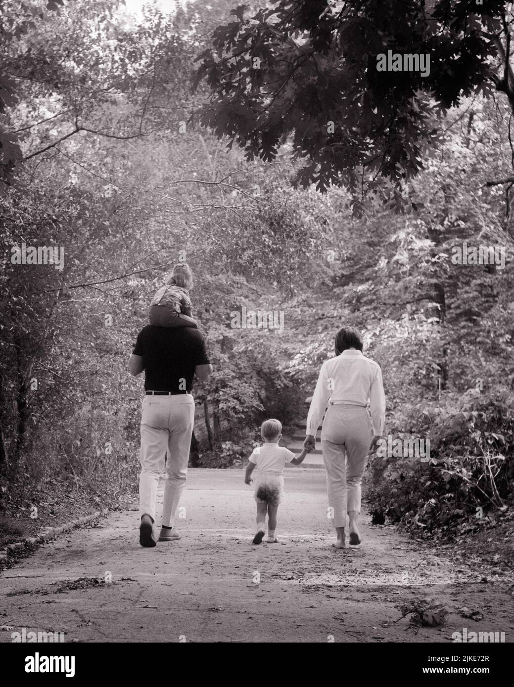 1960s BACK VIEW OF FAMILY WALKING ON WOODLAND PARK PATH FATHER CARRYING DAUGHTER PIGGYBACK AND MOTHER HOLDING TODDLER SON’S HAND - j13212 HAR001 HARS DAD FOUR EXERCISING MOM NOSTALGIC ACTIVE PAIR 4 SUBURBAN MOTHERS OLD TIME NOSTALGIA BROTHER OLD FASHION SISTER 1 FITNESS JUVENILE HEALTHY PEACE SONS FAMILIES LIFESTYLE SATISFACTION FEMALES MARRIED BROTHERS RURAL SPOUSE HUSBANDS HEALTHINESS COPY SPACE FRIENDSHIP FULL-LENGTH LADIES DAUGHTERS PERSONS INSPIRATION MALES SERENITY SIBLINGS SISTERS FATHERS B&W PARTNER ACTIVITY PATH HAPPINESS PHYSICAL LEISURE STRENGTH AND DADS RECREATION REAR VIEW SIBLING Stock Photo