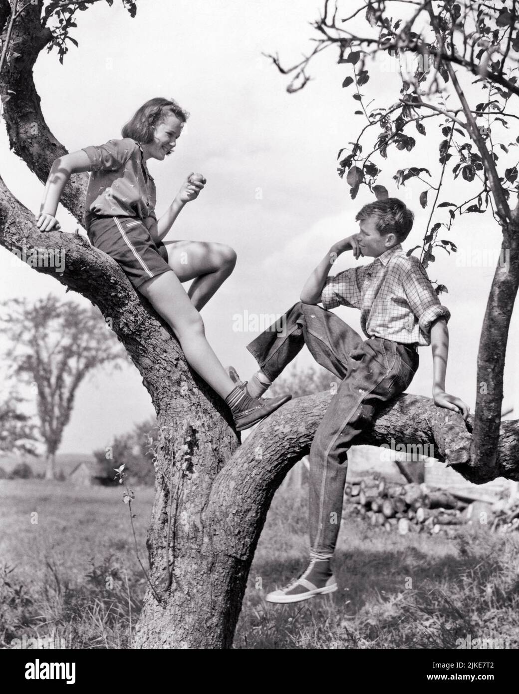 1930s TEENAGE BOY & GIRL TALKING SITTING TREE GIRL EATING APPLE WEARING SHORTS BOY WEARING BLUE JEANS LISTENING LOOKING AT HER - j2094 HAR001 HARS OLD FASHION SHORTS JUVENILE STYLE FRIEND COTTON JOY LIFESTYLE FEMALES RURAL HEALTHINESS HOME LIFE COPY SPACE FRIENDSHIP FULL-LENGTH PERSONS FARMING MALES TEENAGE GIRL TEENAGE BOY CONFIDENCE DENIM AGRICULTURE B&W SUMMERTIME HAPPINESS LEISURE FARMERS RECREATION ORCHARD RELATIONSHIPS CONNECTION MOTION BLUR CONCEPTUAL FRIENDLY TEENAGED APPLE TREE THOUGHTFULLY BLUE JEANS COOPERATION GROWTH INFORMAL PRE-TEEN PRE-TEEN BOY PRE-TEEN GIRL SEASON TOGETHERNESS Stock Photo