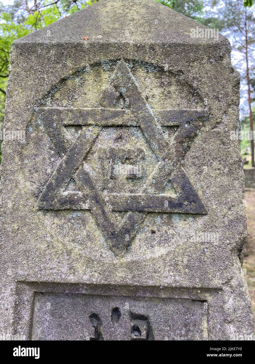 Ruins of the old Jewish cemetery in Otwock Poland cmentarz żydowski w Otwock headstones jewish graveyard jewish graveside beit kvarot jewish tombstone Stock Photo