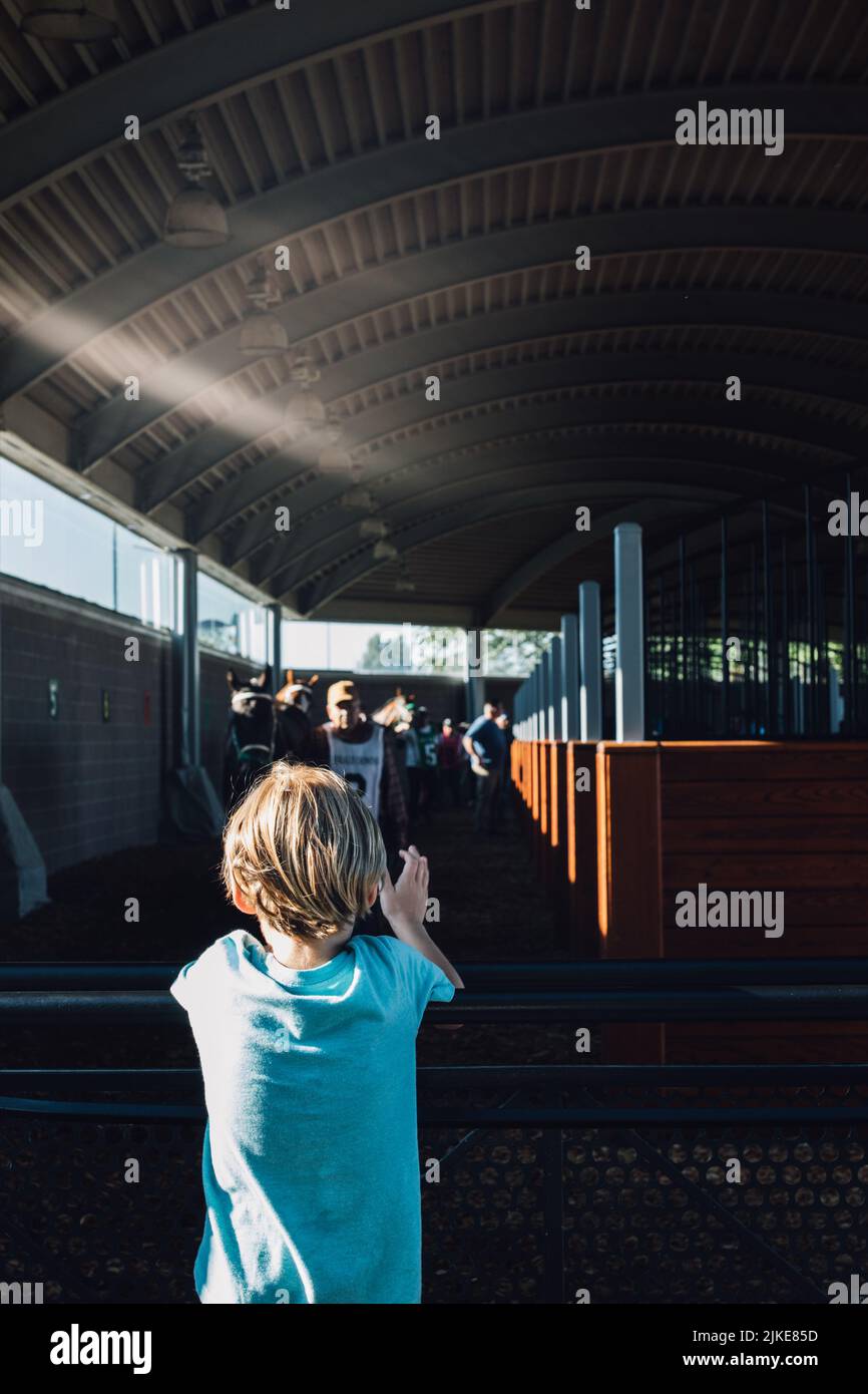 little boy in blue shirt looking at horses in stable at race track Stock Photo