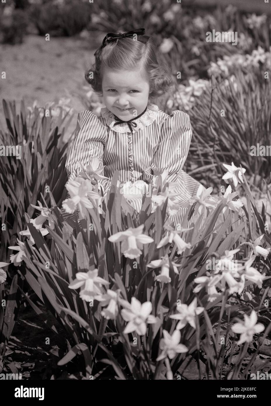 1940s 1950s LITTLE GIRL IN STRIPED DRESS IN FLOWER FIELD FULL OF SPRING DAFFODILS SQUINTING LOOKING AT CAMERA - j814 HAR001 HARS NATURE COPY SPACE HALF-LENGTH STRIPES B&W EYE CONTACT HAPPINESS CHEERFUL HIGH ANGLE SQUINTING DAFFODILS SMILES JOYFUL STYLISH PLEASANT AGREEABLE CHARMING GROWTH JUVENILES LOVABLE PLEASING SPRINGTIME YOUNGSTER ADORABLE APPEALING BLACK AND WHITE CAUCASIAN ETHNICITY HAR001 OLD FASHIONED Stock Photo