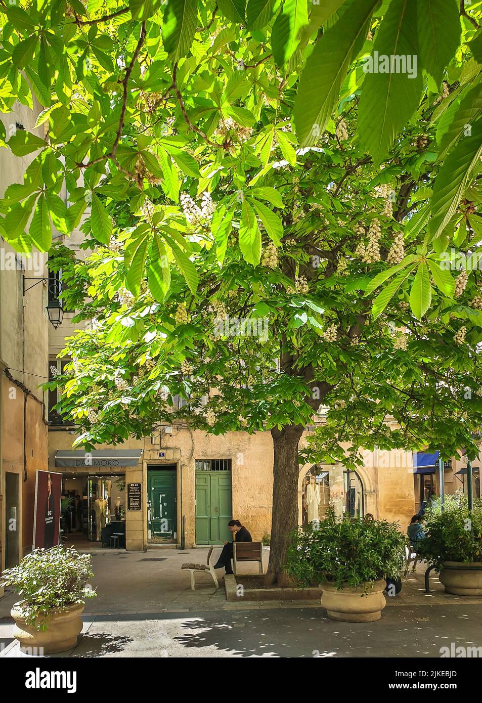 Aix-en-Provence, France, May 2022, view of Ancienne Madeleine street Stock Photo