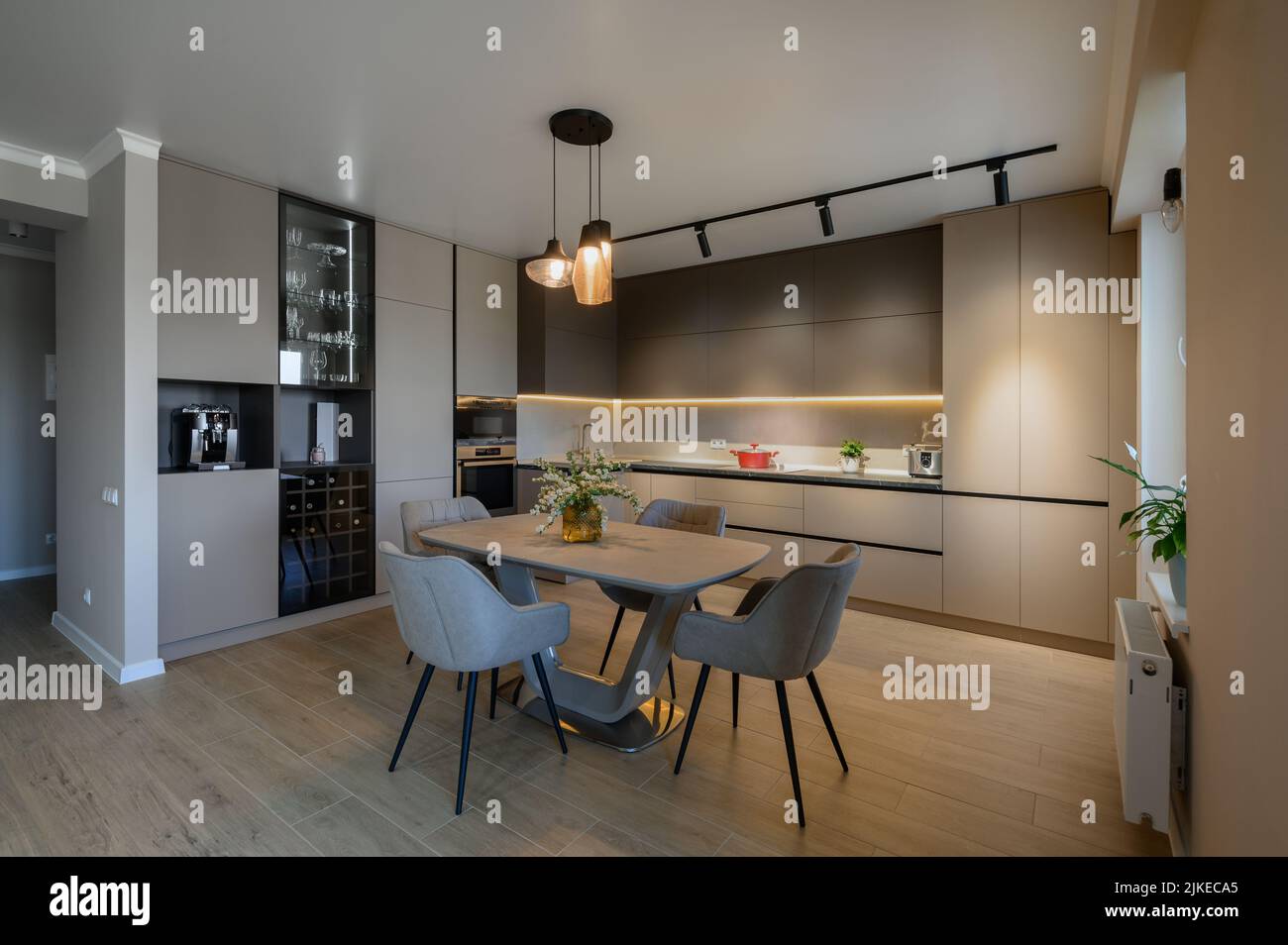 Large modern grey luxurious kitchen and dining room in studio apartment Stock Photo