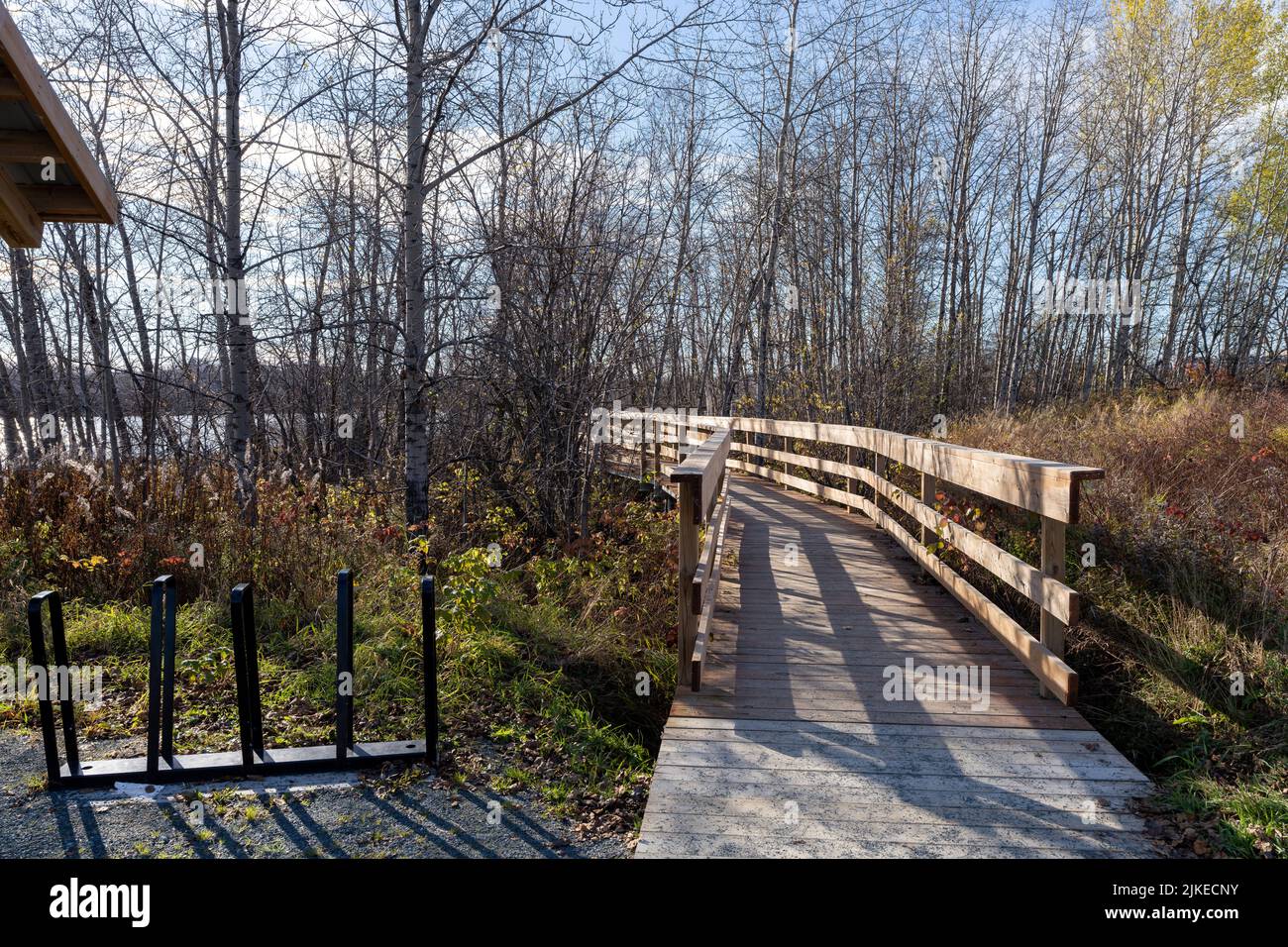 Noranda Lake shore wooden bridge walking trail. Rouyn-Noranda, Abitibi-Temiscamingue, Quebec, Canada. Stock Photo