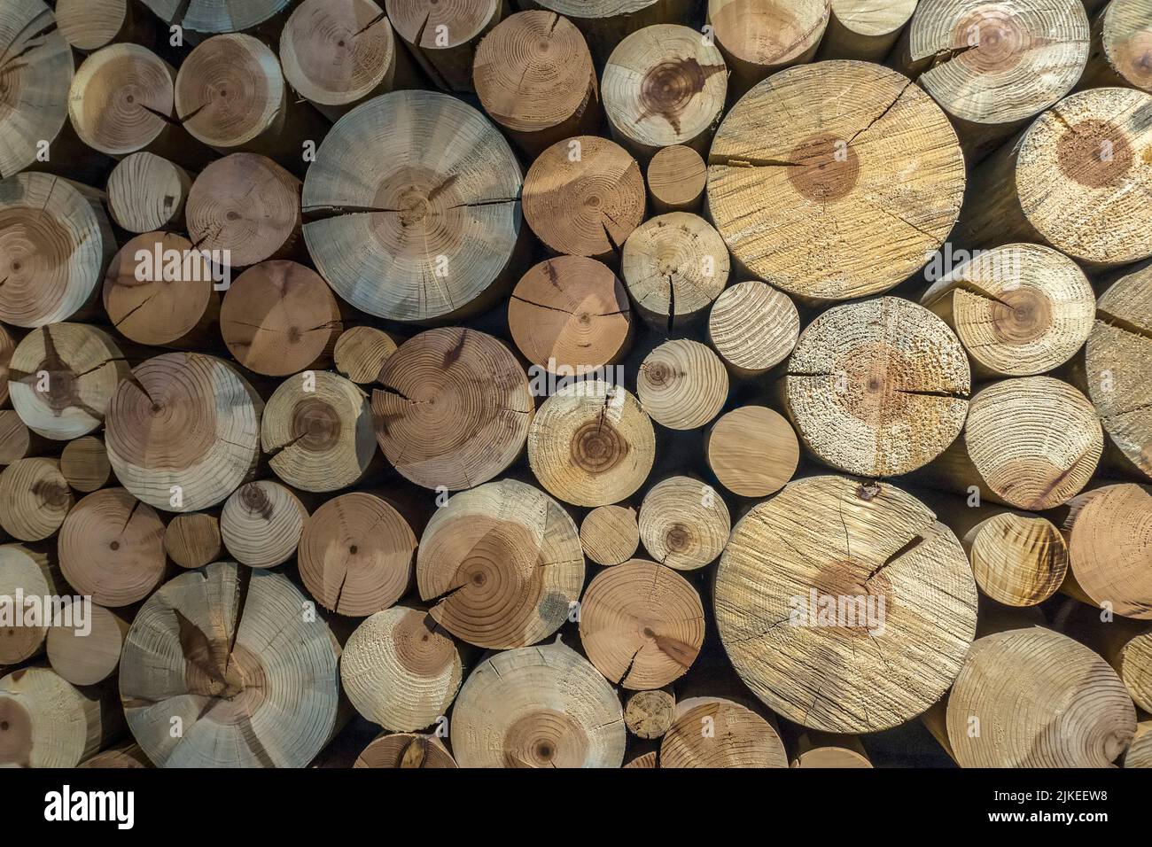 cut logs Stock Photo
