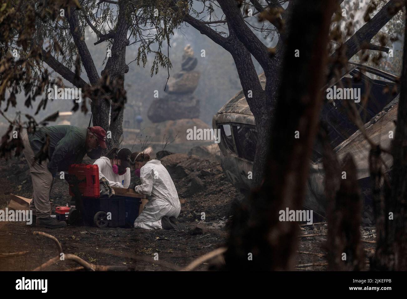 Forensic anthropologists look for human remains in a damaged vehicle as the McKinney Fire burns near Yreka, California, U.S., August 1, 2022. REUTERS/Carlos Barria Stock Photo