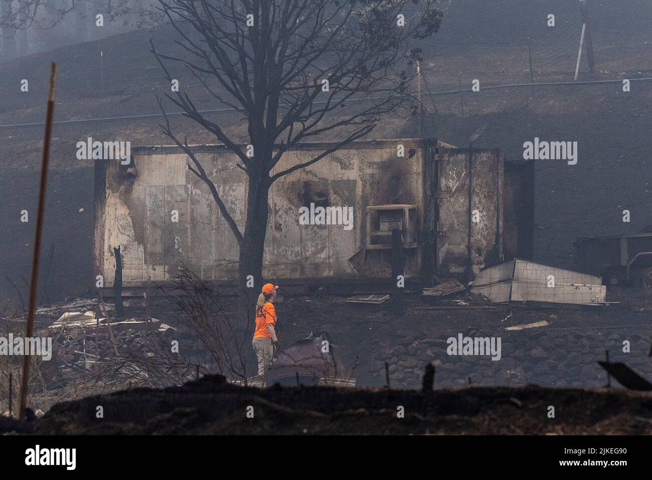 A member of a search and rescue team walks along an area destroyed by the McKinney Fire near Yreka, California, U.S., August 1, 2022. REUTERS/Carlos Barria Stock Photo
