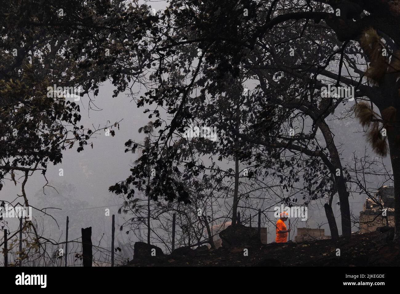 A member of a search and rescue team walks along an area destroyed by the McKinney Fire near Yreka, California, U.S., August 1, 2022. REUTERS/Carlos Barria Stock Photo