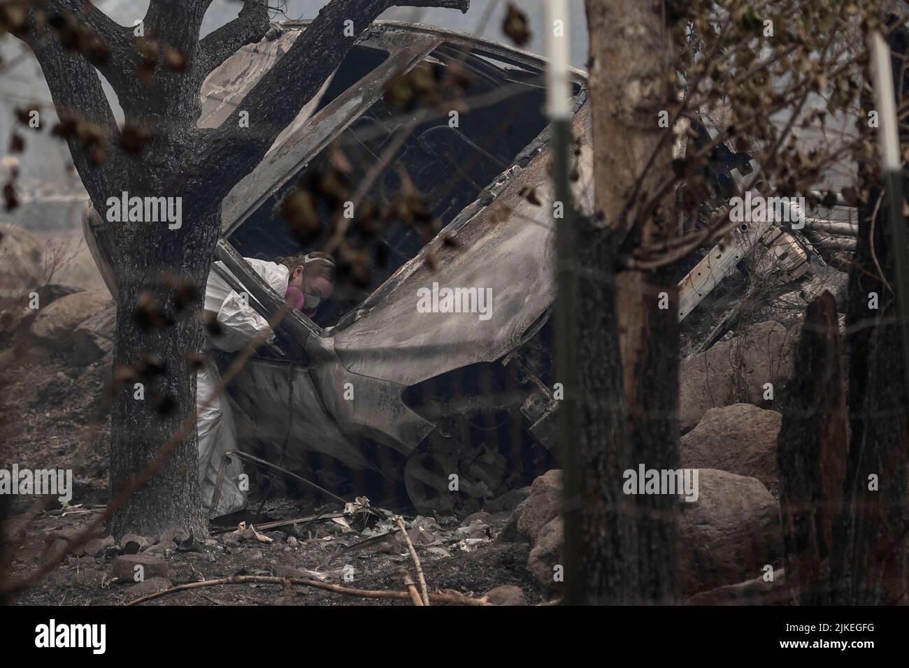 A forensic anthropologist looks for human remains in a damaged vehicle as the McKinney Fire burns near Yreka, California, U.S., August 1, 2022. REUTERS/Carlos Barria Stock Photo