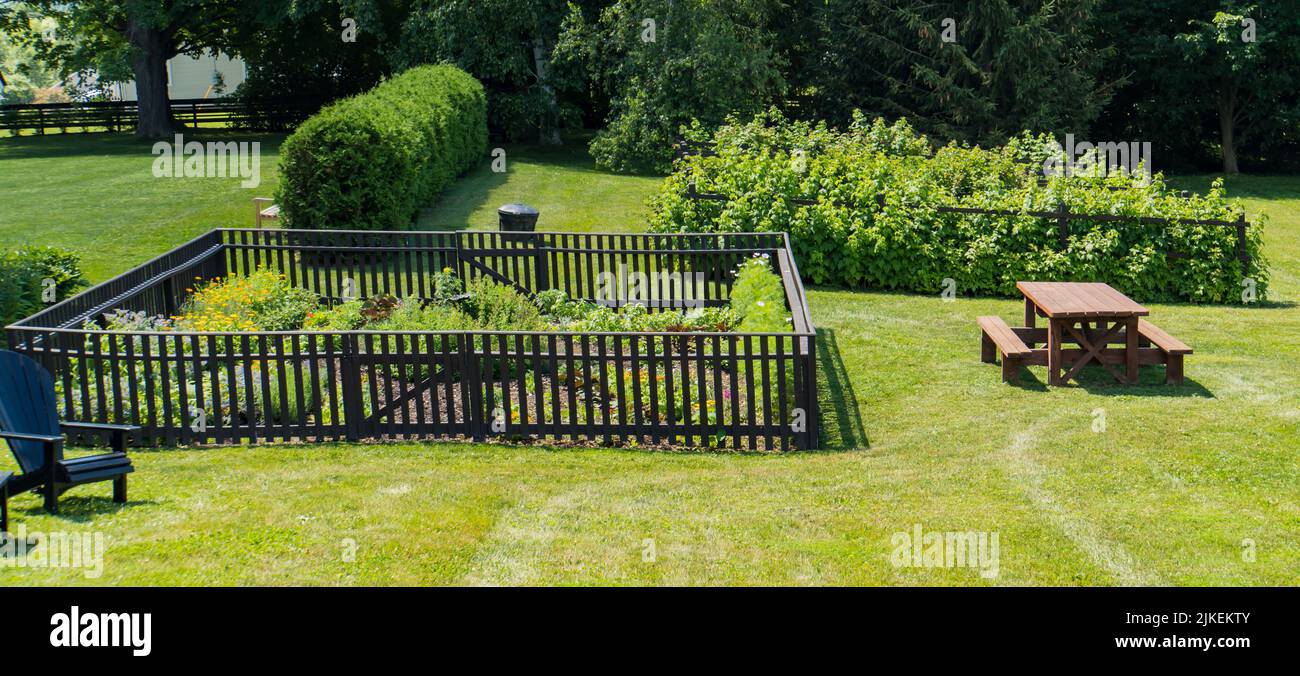 farm yard with a kitchen garden , berry bushes and picnic table Stock Photo