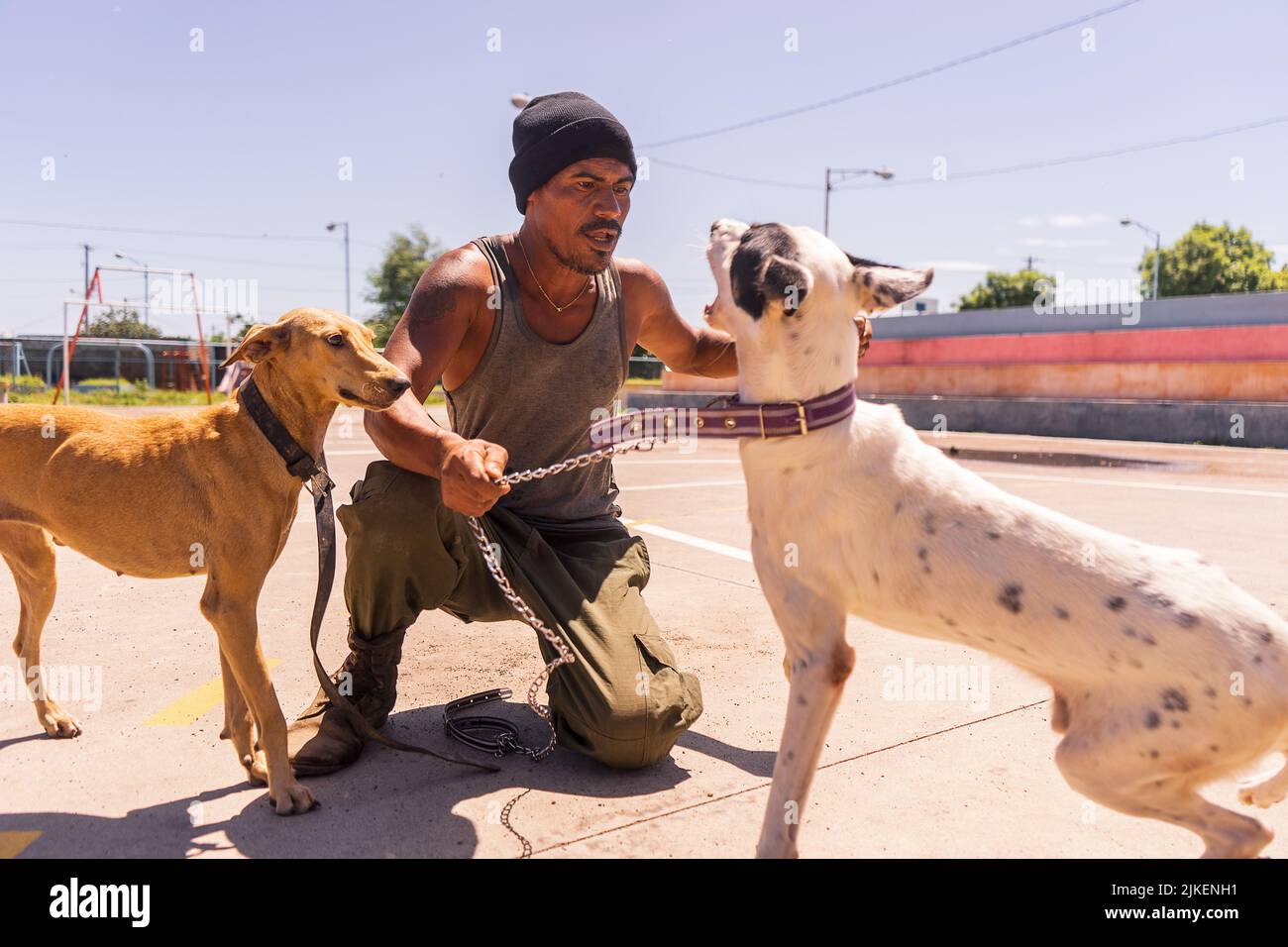 Two people arguing pet hi-res stock photography and images - Alamy