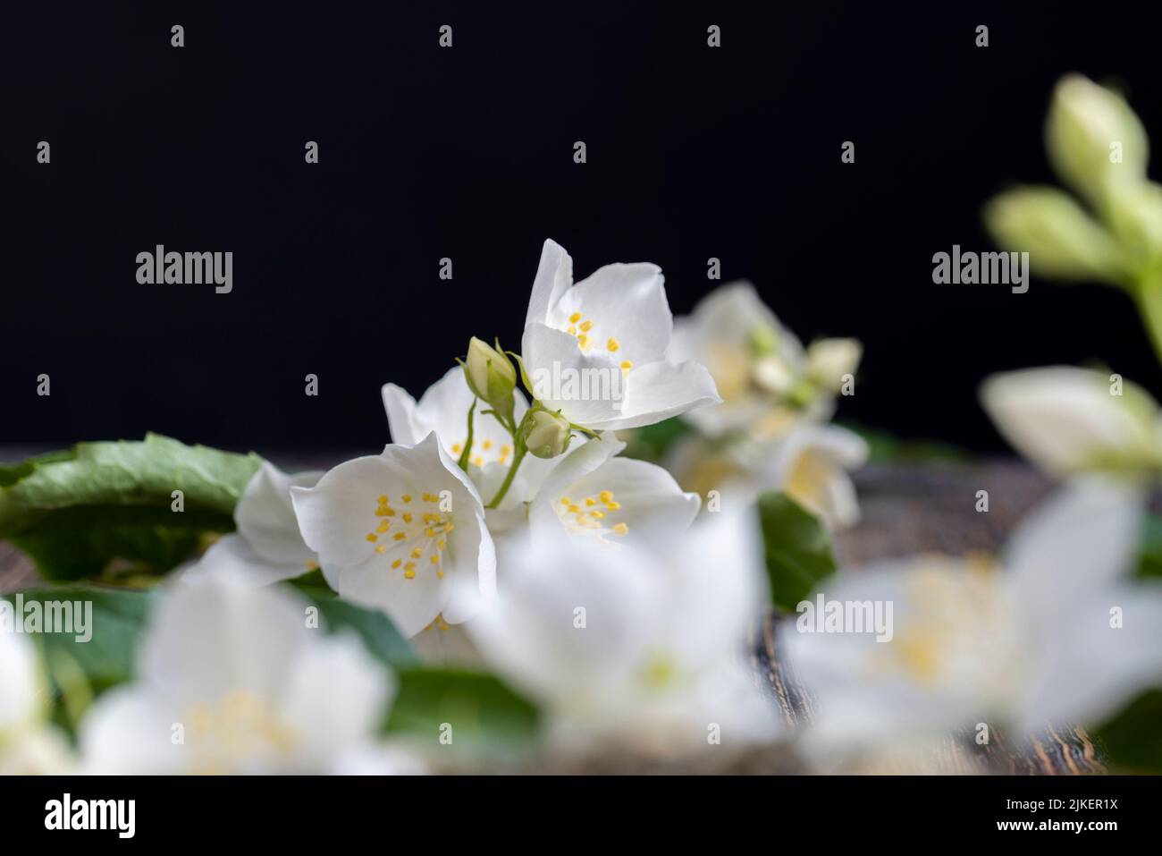 White jasmine flowers used to decorate the indoor wall , cut white