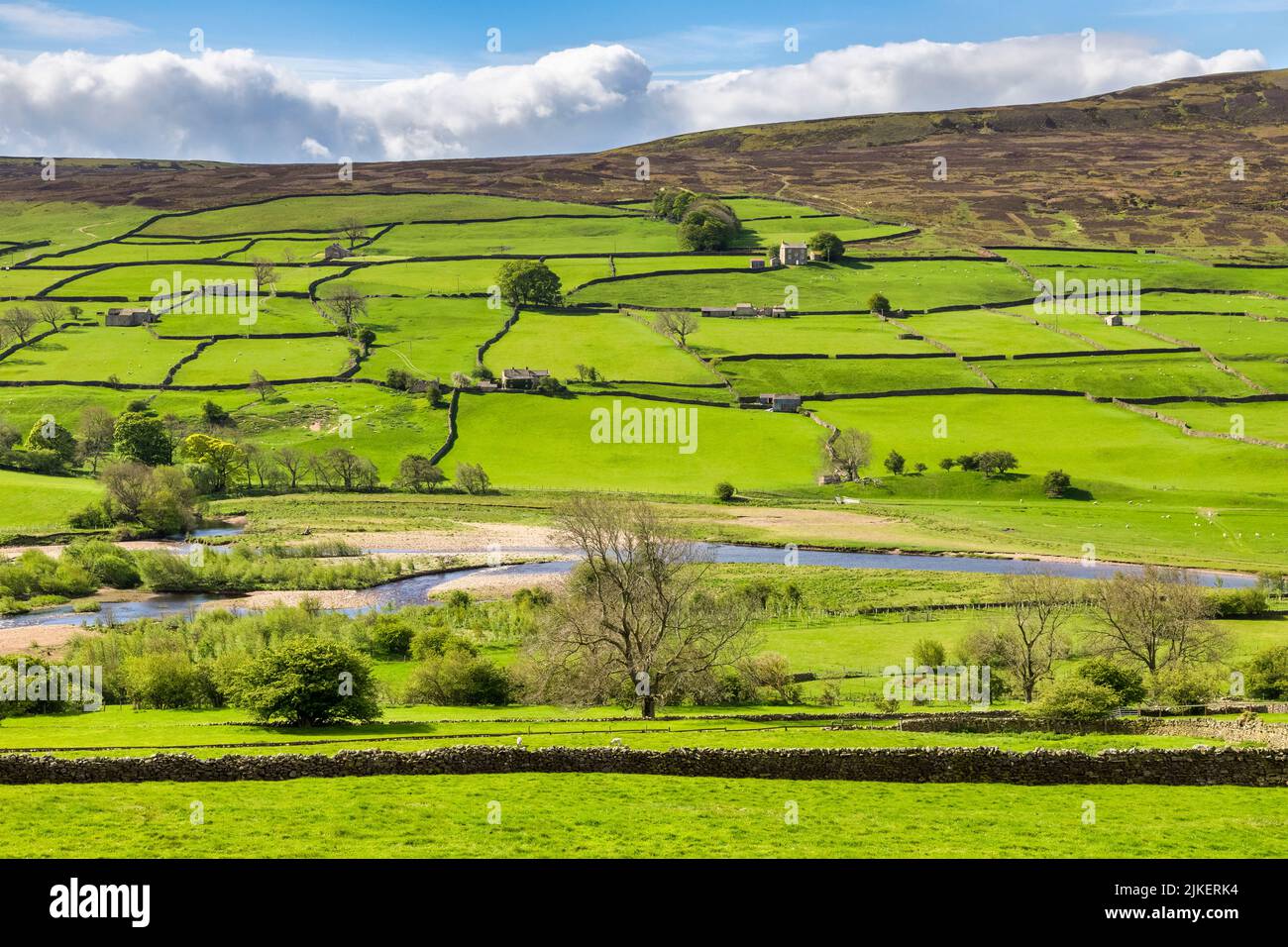 Dry stone walls and stone cottages on a bright spring day with beautiful greens, Swaledale, North Yorkshire, UK Stock Photo