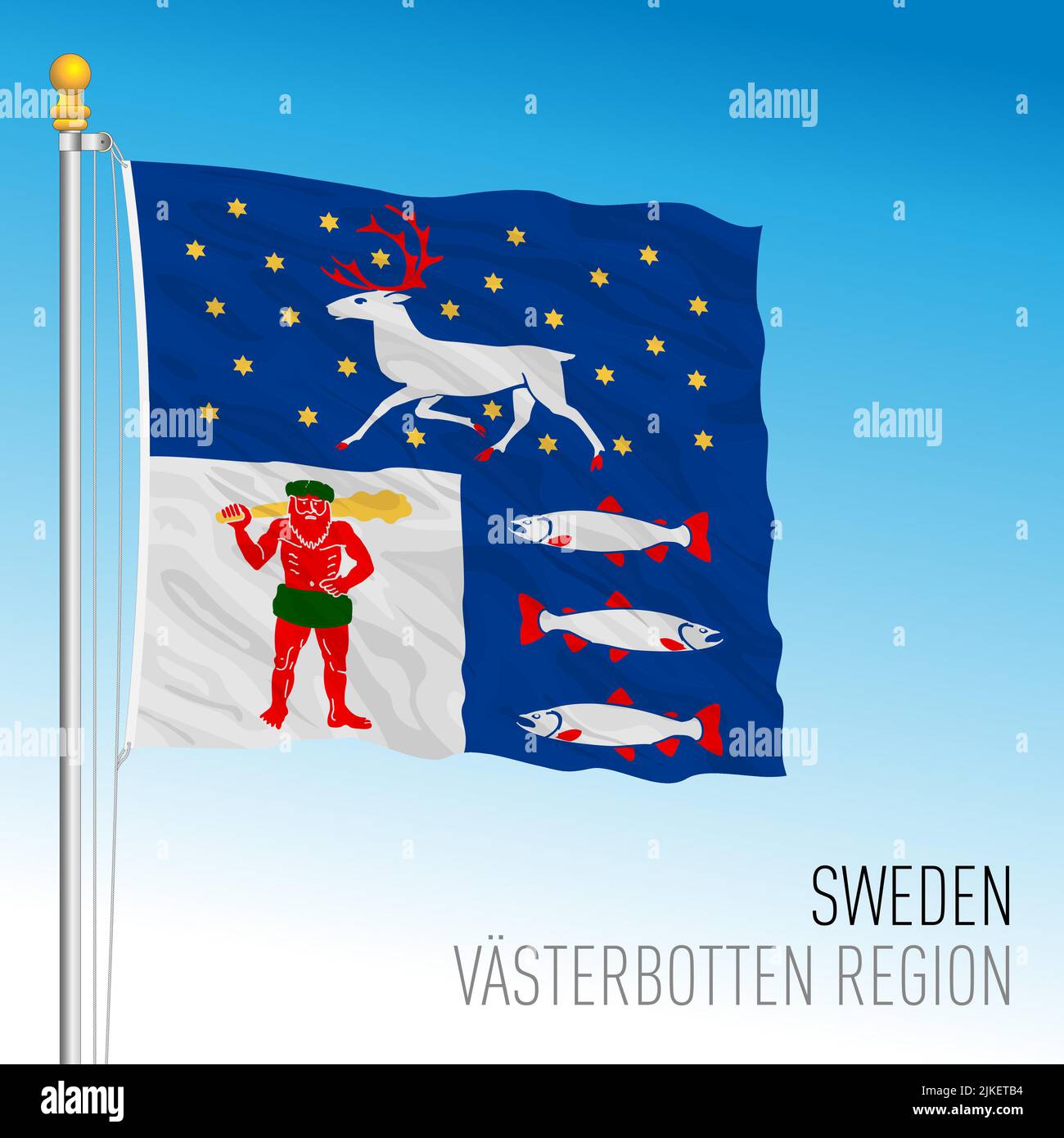 Vasterbotten county regional flag, Kingdom of Sweden, vector illustration Stock Vector