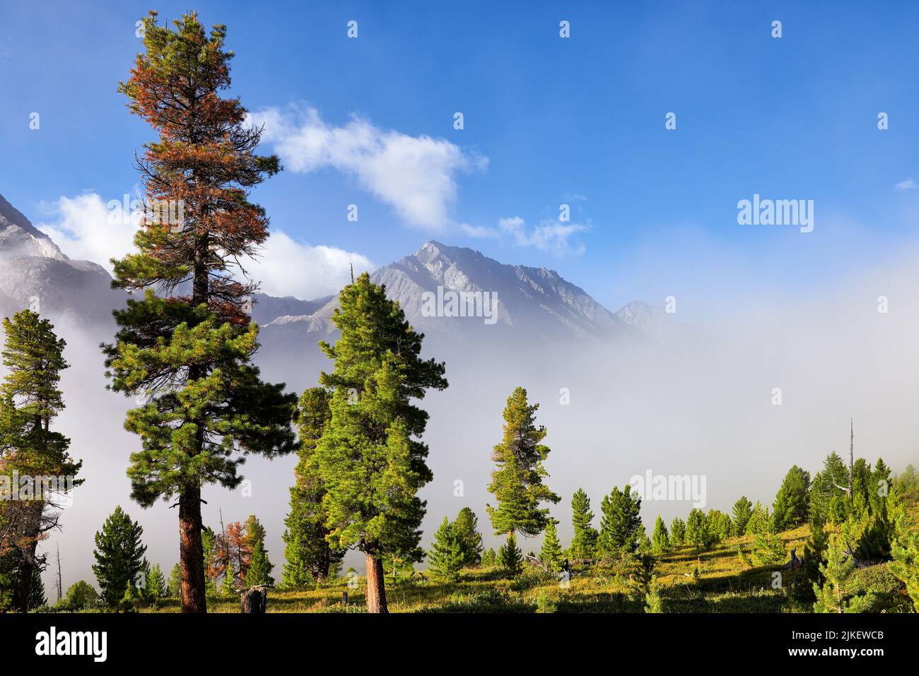 Fog over the mountain valley in Siberian summer. Eastern Sayan. Buryatia. Russia Stock Photo