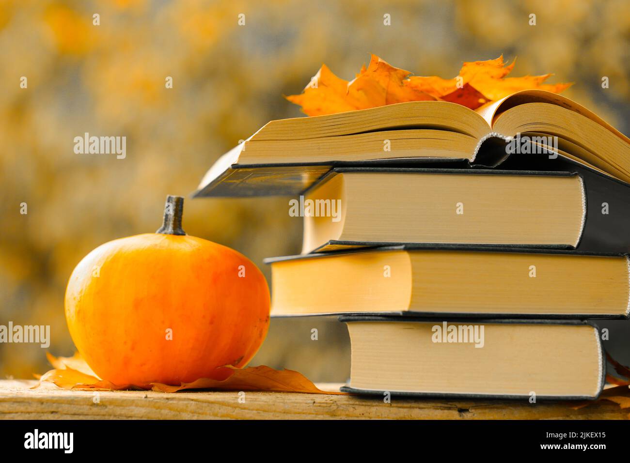 Halloween Books.Back to school.Autumn reading. Books and pumpkins set in autumn garden with the rays of the sun.Start school and college season Stock Photo