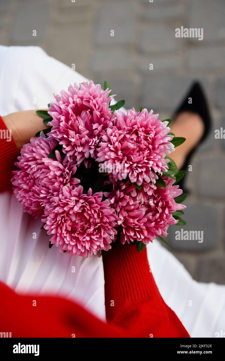 Overhead view of a bouquet of dark pink asters in hands of a sitting woman in a white pleated skirt, red blouse and black high heels, selective focus. Stock Photo