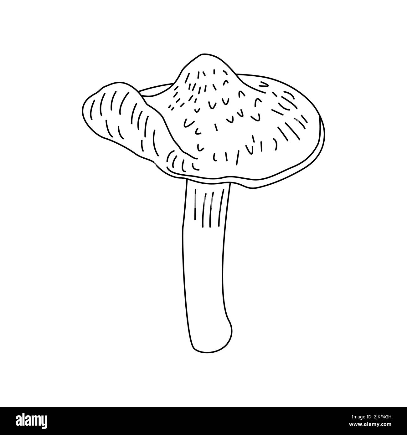Mushroom Clipart Black And White Png Landing
