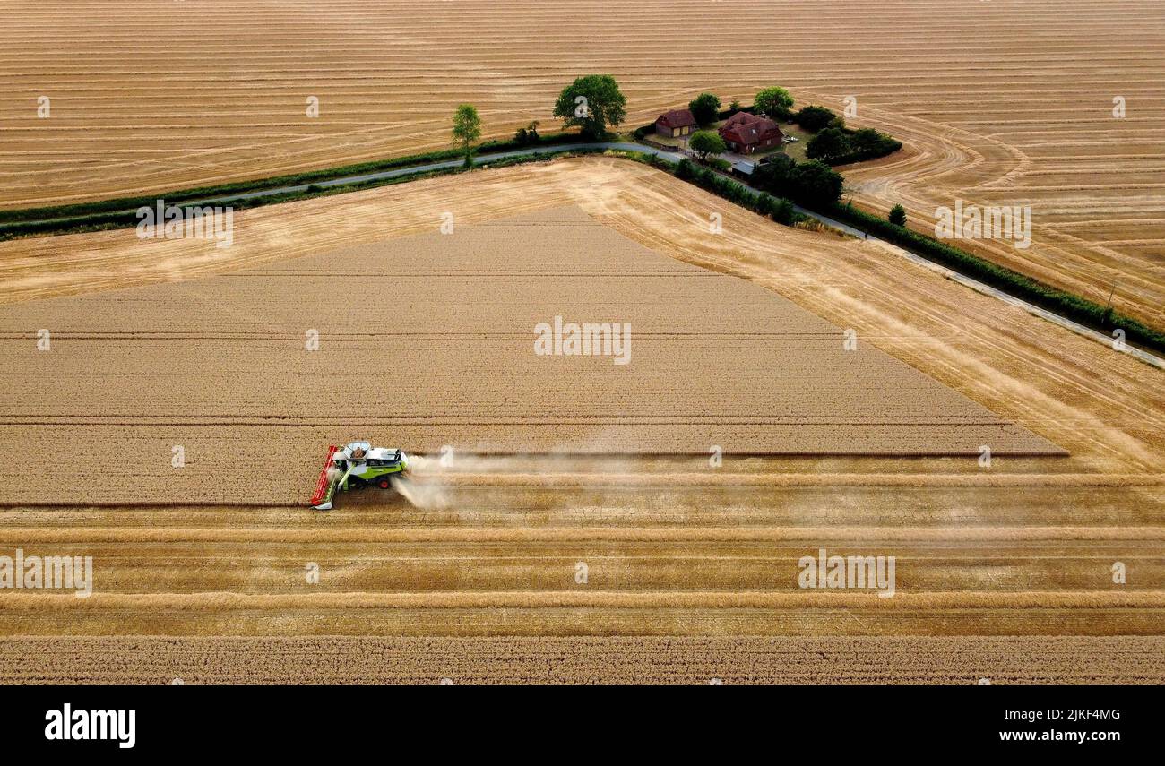 A combine harvester at work in a field near Newchurch on the Romney Marsh in Kent. Picture date: Tuesday August 2, 2022. Stock Photo