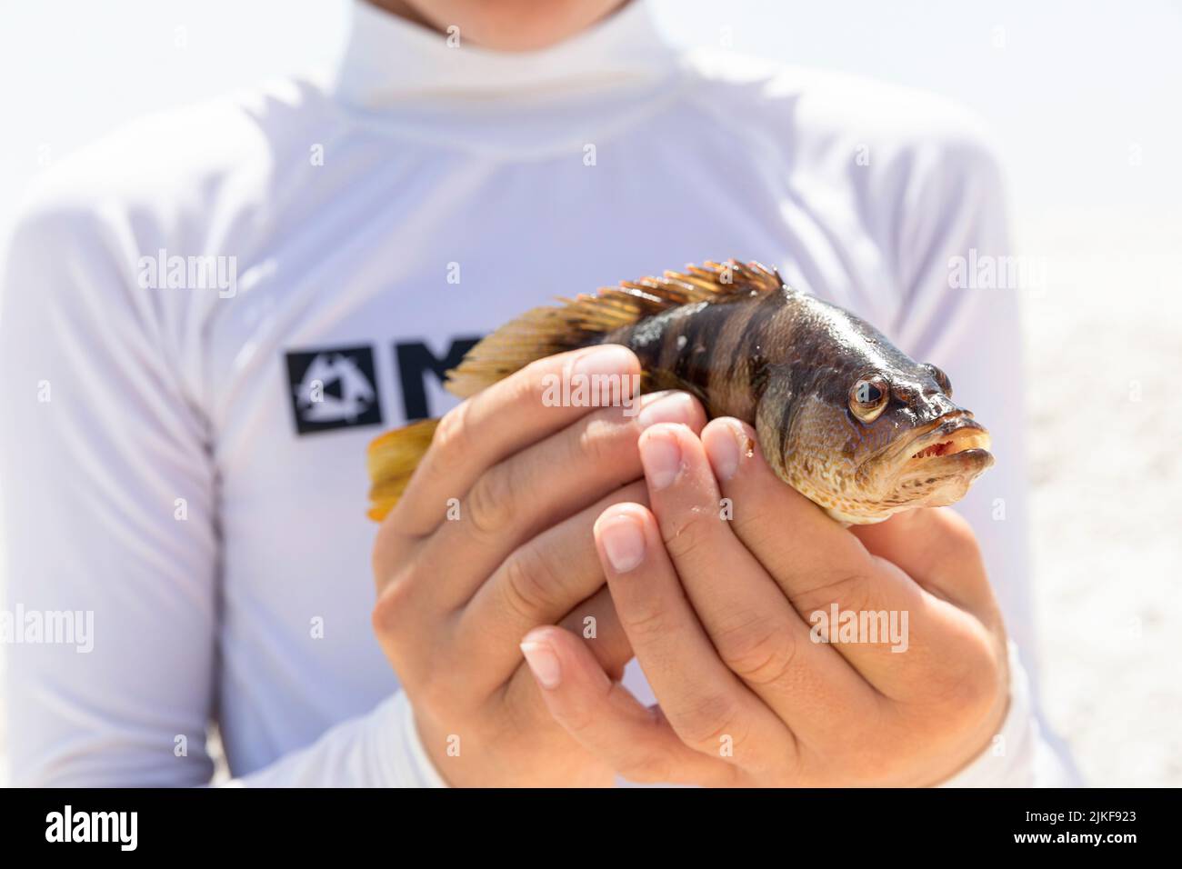 Boy with a fish in his hand on a beautiful Veli Zal beach, Dugi otok island, Croatia Stock Photo
