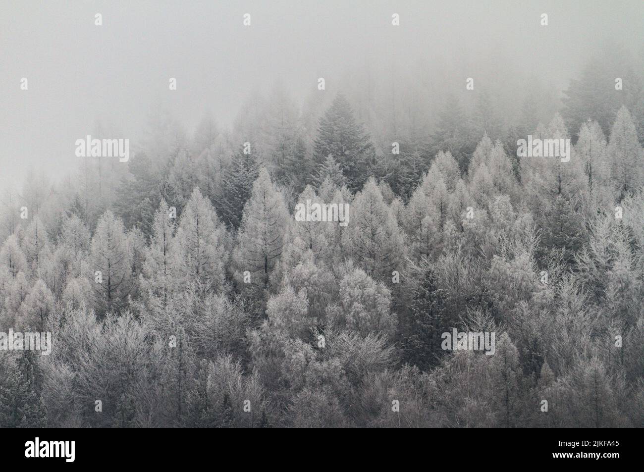 Beautiful drone view misty forest hi-res stock photography and images ...