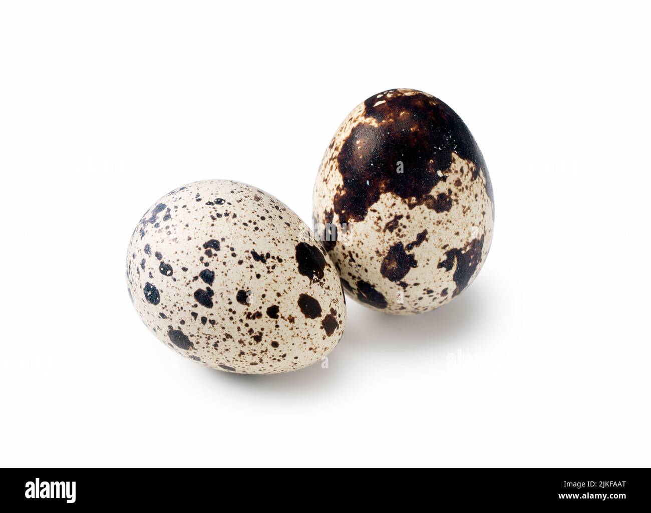 Two quail eggs placed on a white background Stock Photo