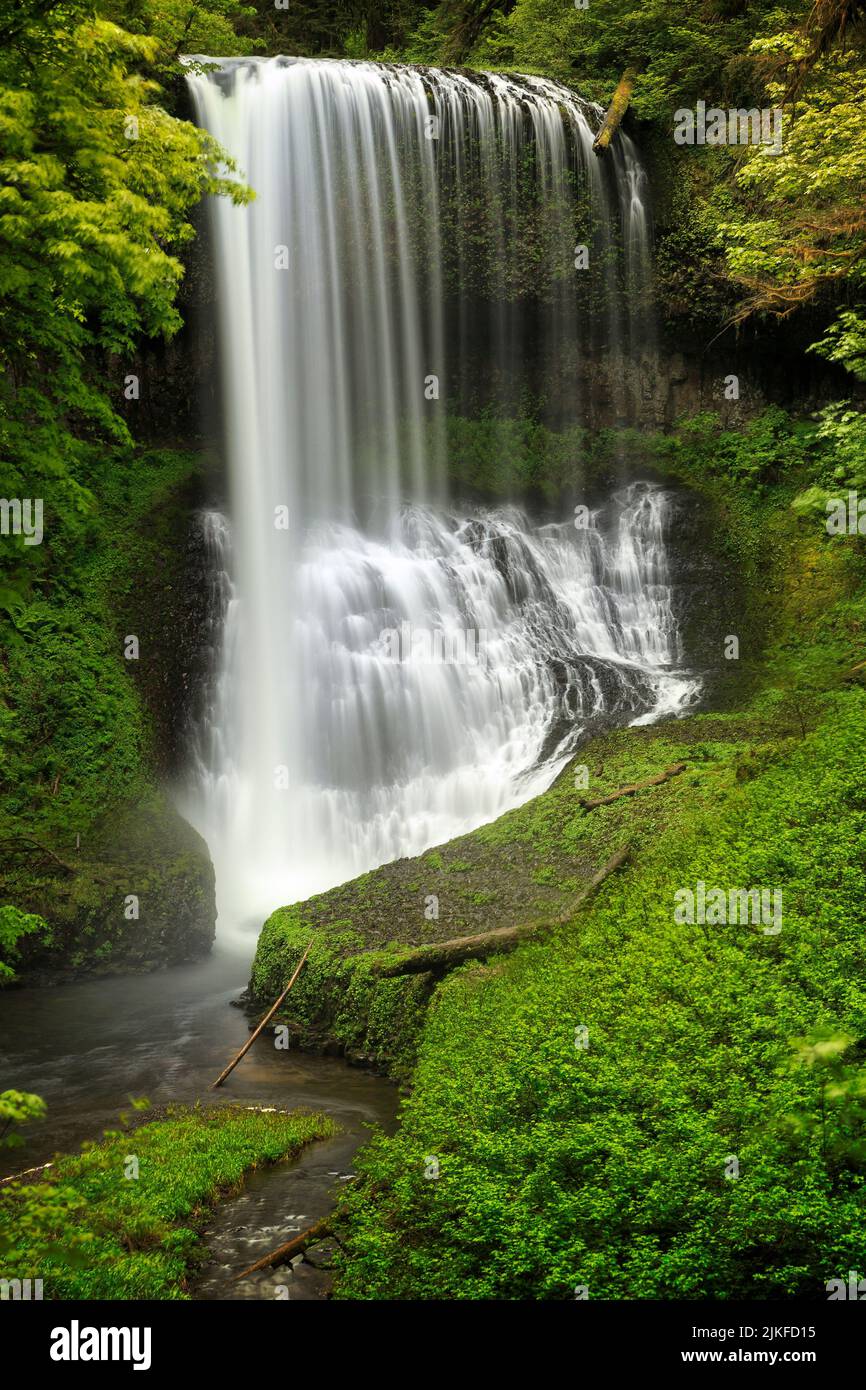 A vertical shot of the Middle North Falls in Silver Falls State Park