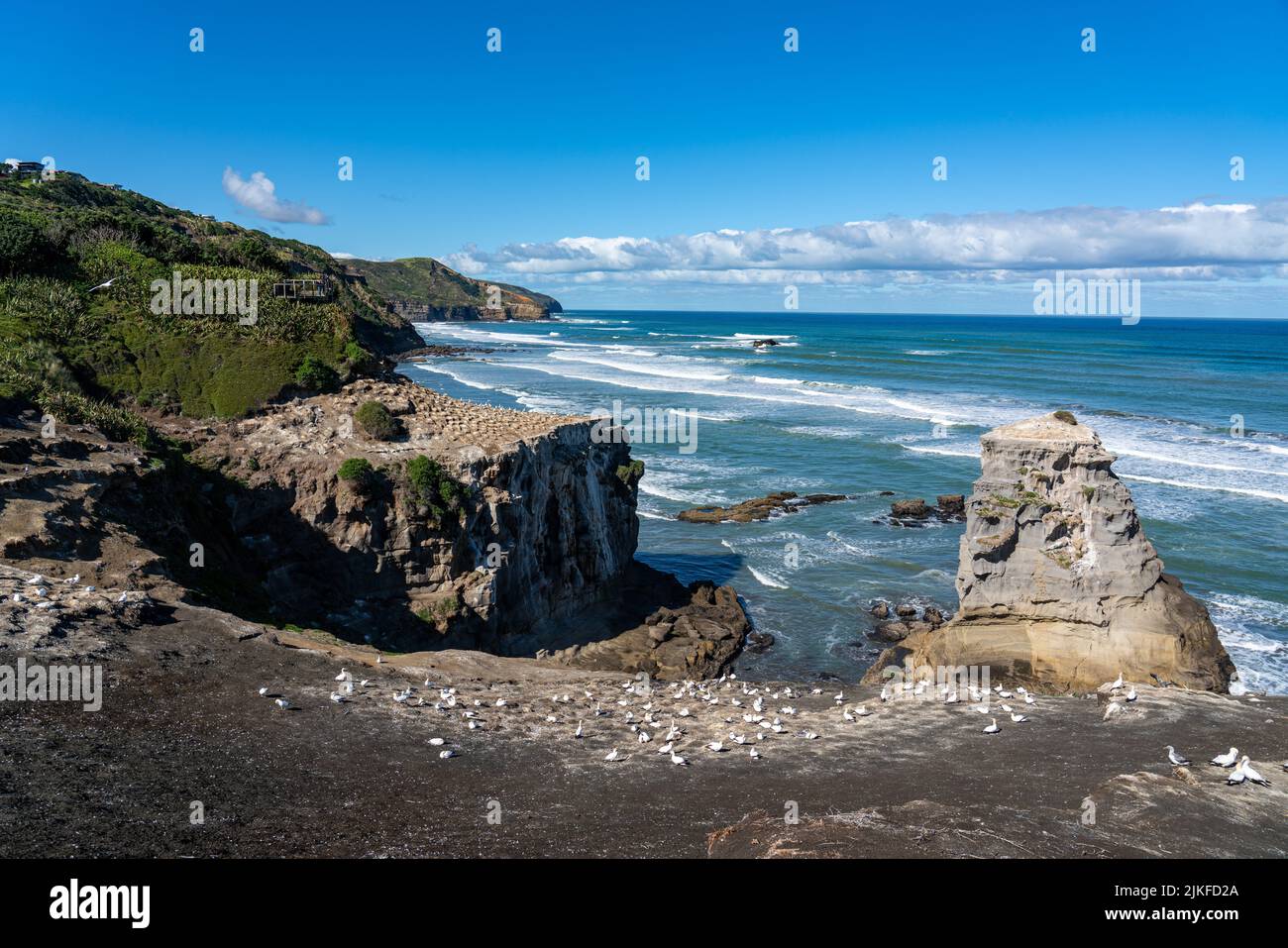 A beautiful view of the Muriwai Beach on a sunny day in New Zealand Stock Photo