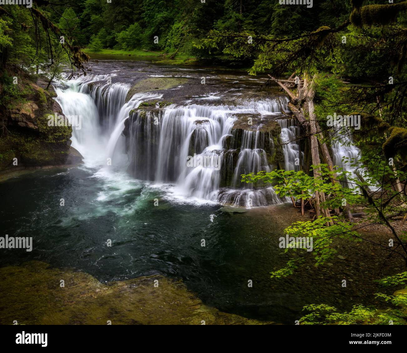 A landscape view of the Lower Lewis River Falls in the Gifford Pinchot