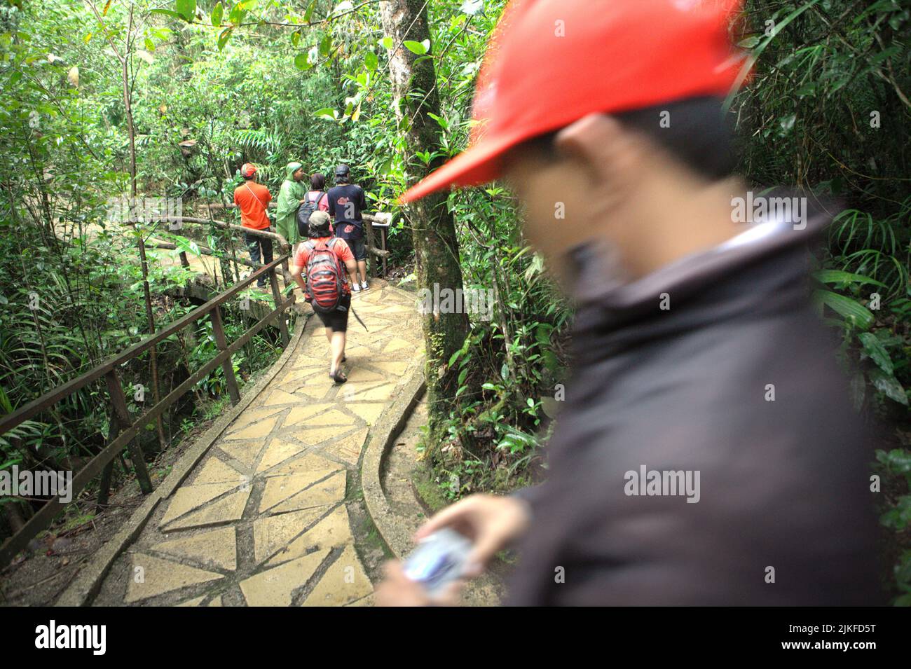 Visitors walking on a trail in the middle of mountain vegetation at Mount Kinabalu Botanical Garden in Kinabalu Park, Ranau, Sabah, Malaysia. Stock Photo