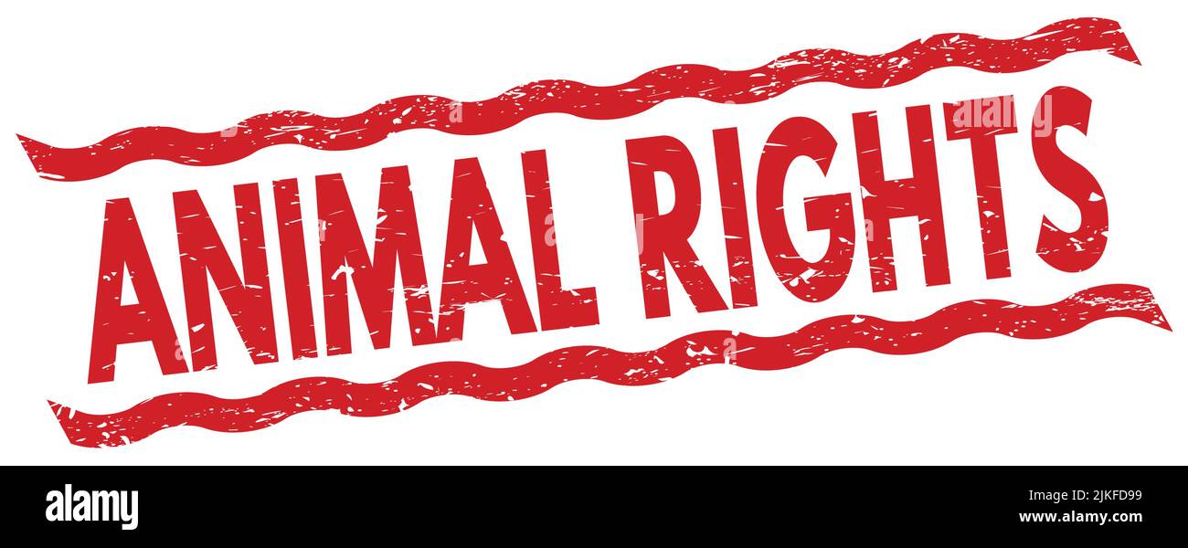 ANIMAL RIGHTS text written on red lines stamp sign Stock Photo - Alamy