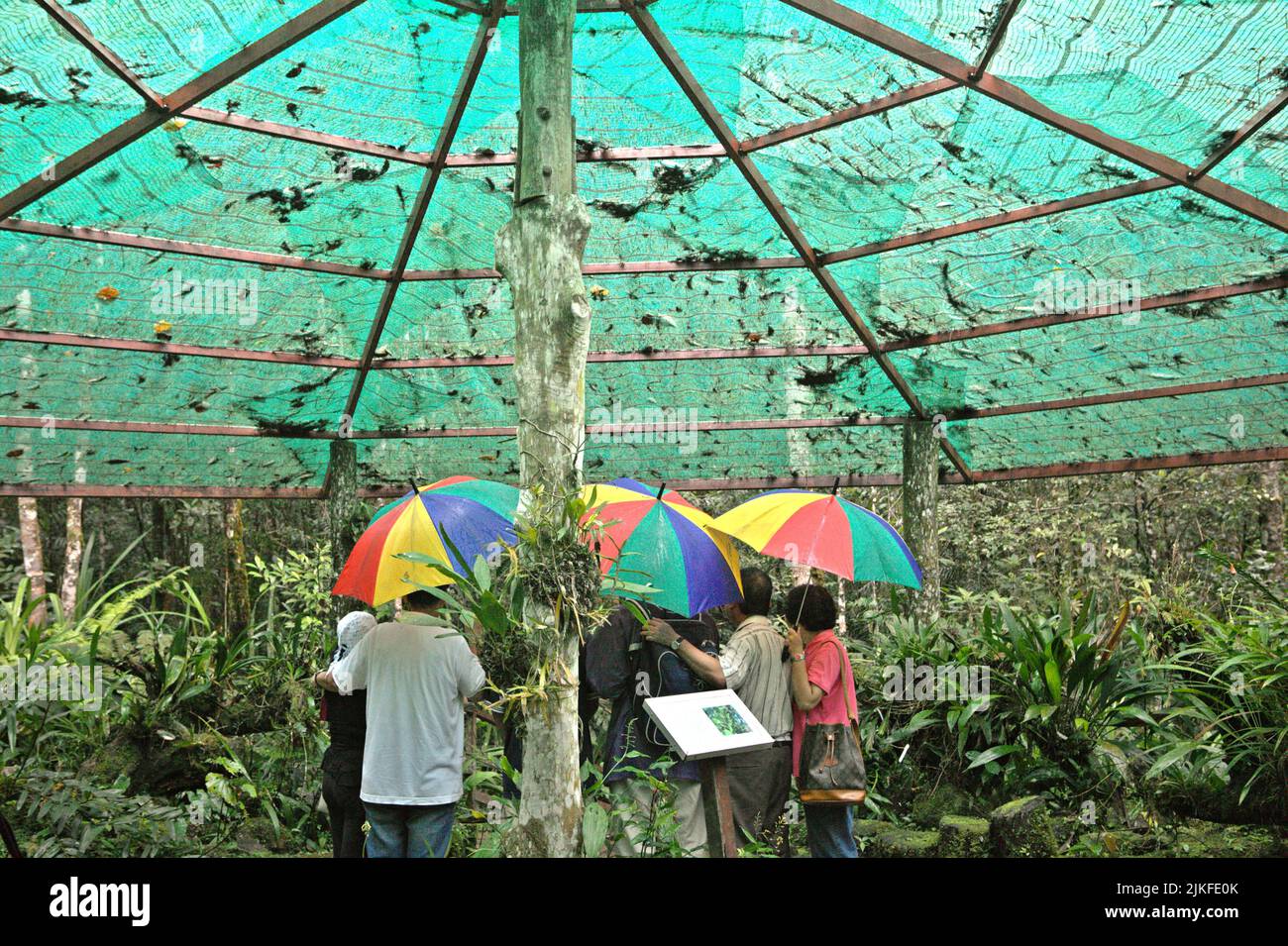 Back view of a group of visitors as they are having a photo session below a canopy net at Mount Kinabalu Botanical Garden in Kinabalu Park, Ranau, Sabah, Malaysia. Stock Photo