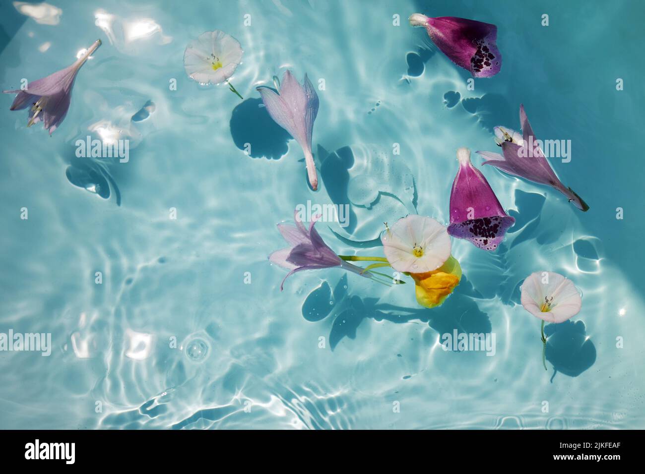Top view of bath filled with flowers spa or selfcare concept. Stock Photo