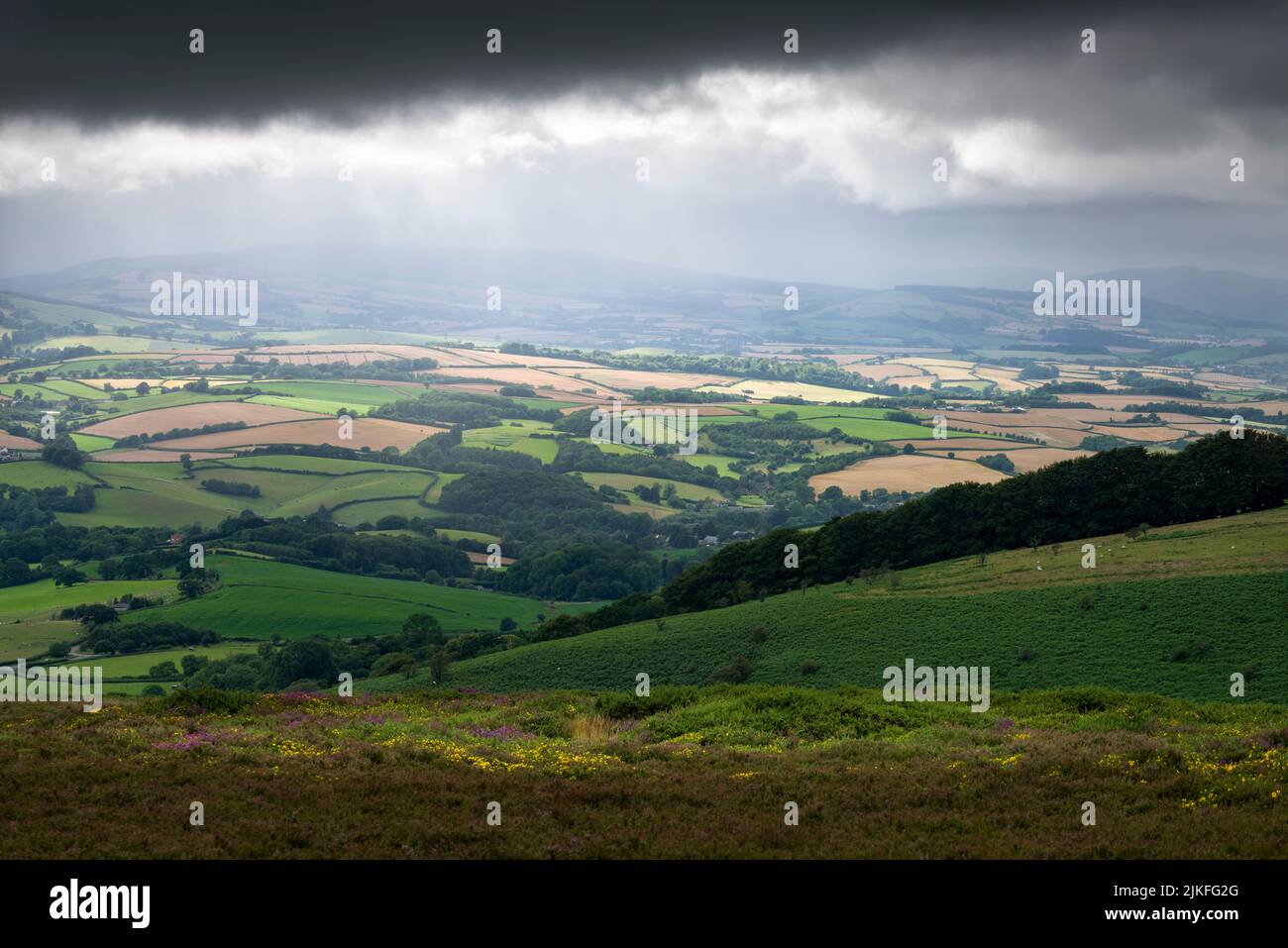 Summer rain over the Brendon Hills viewed from Hurley Beacon in the Quantock Hills, Somerset, England. Stock Photo