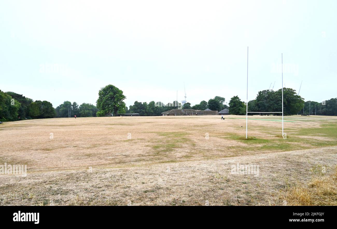 Hove rugby club hi-res stock photography and images - Alamy