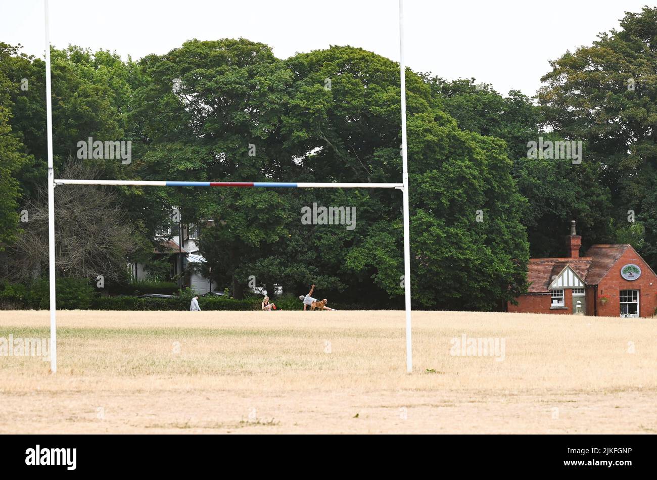 Hove rugby club hi-res stock photography and images - Alamy
