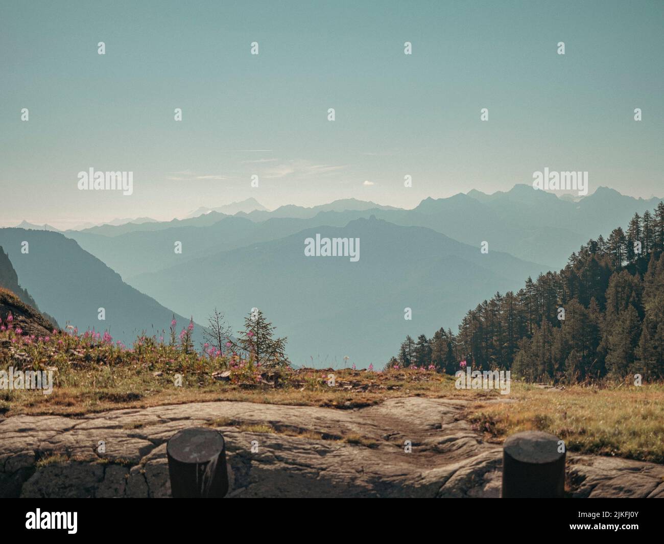 Beautiful Alpine mountain valley. Pine trees line a steep mountain side and high peaks fade in the hazy distance. Stock Photo