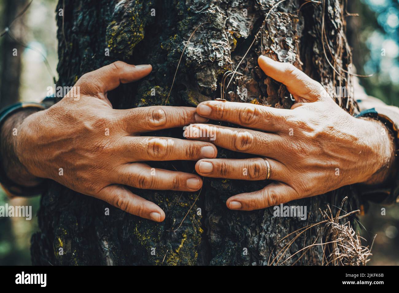 Close up of people hands hugging a trunk tree with love and protection ...