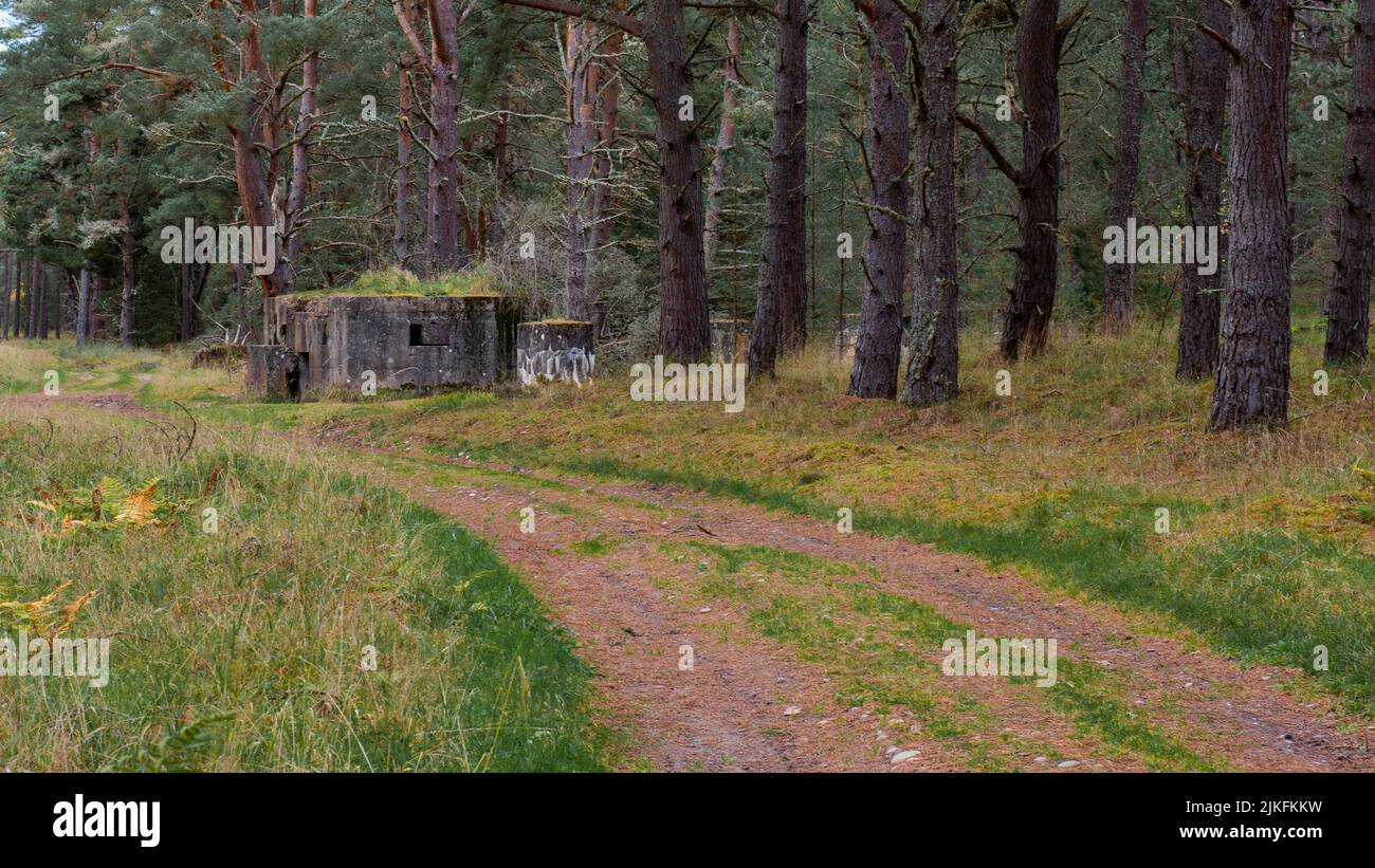 Defences from world war 2 in Lossiemouth Forest, Moray, Scotland Stock Photo