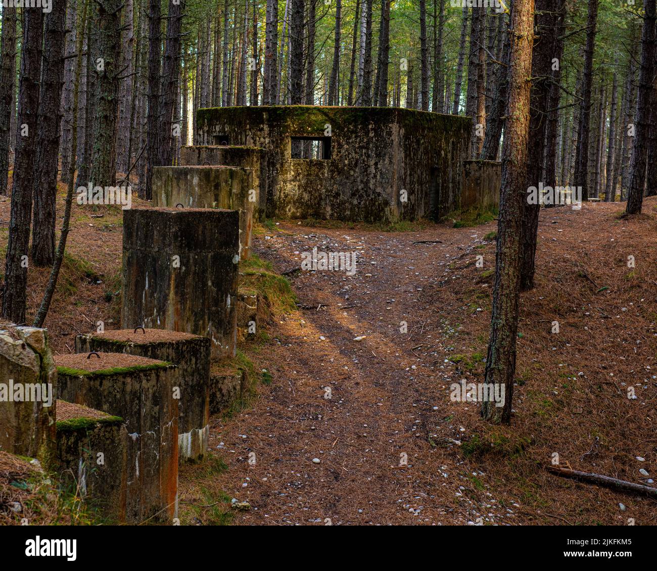 Remains of The Moray coastal defences run through Lossie Forest, where  evidence of the variety of defences constructed: are still visible Stock Photo