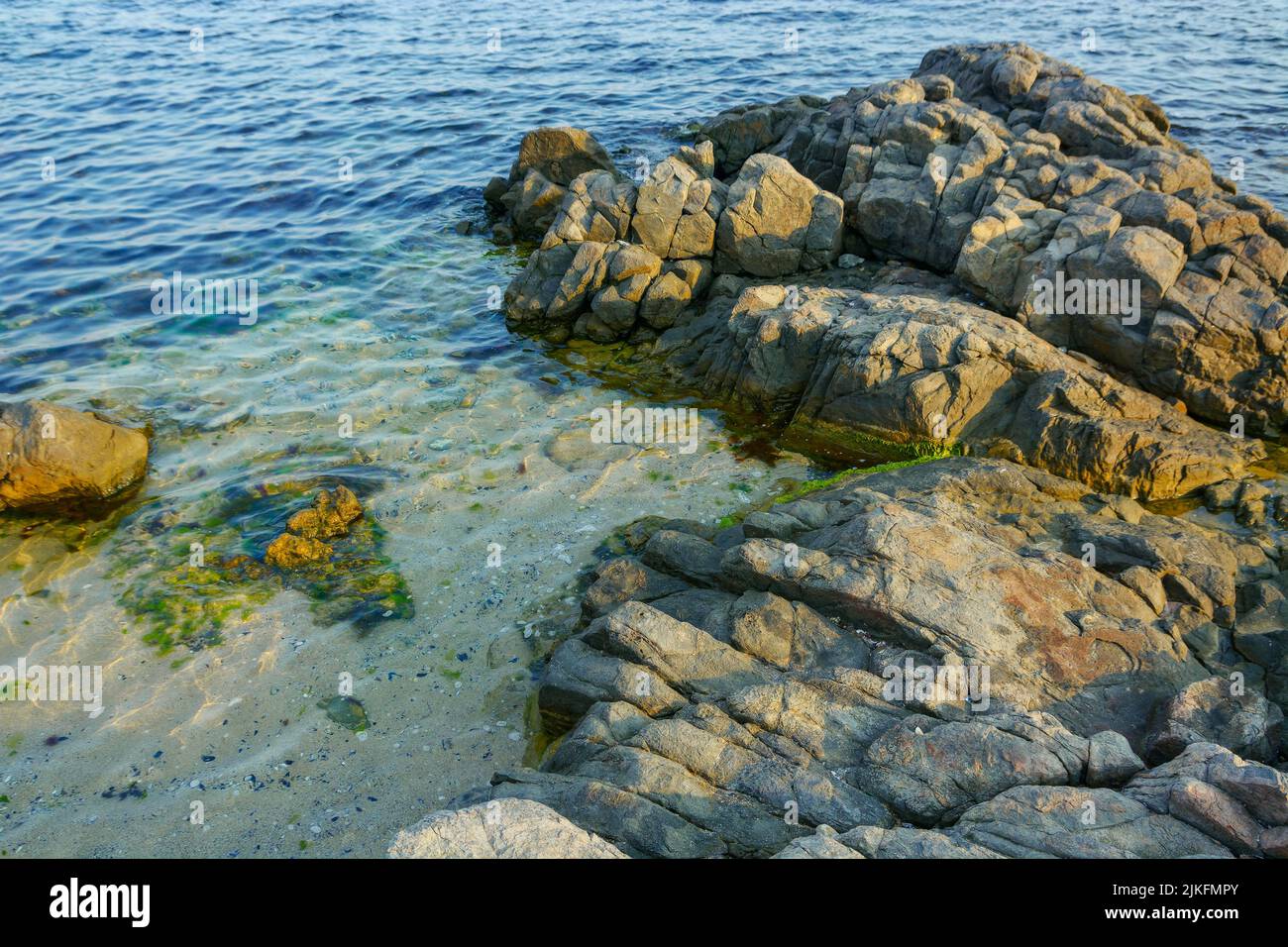 rocks in the water at the sea shore. nature background on the sandy beach in morning light Stock Photo