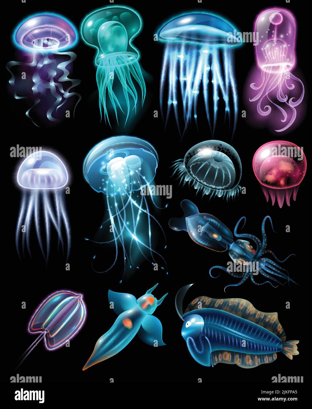 Light and multicolored stylish underwater animals icon set fish ...