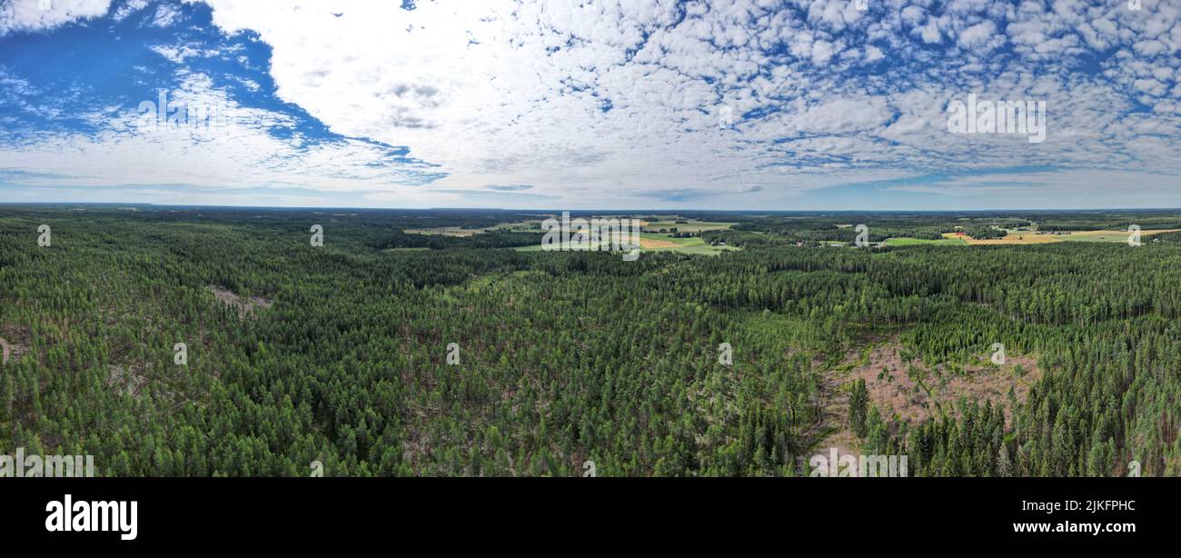 A panoramic view of lush green forests against blue cloudy sky ...