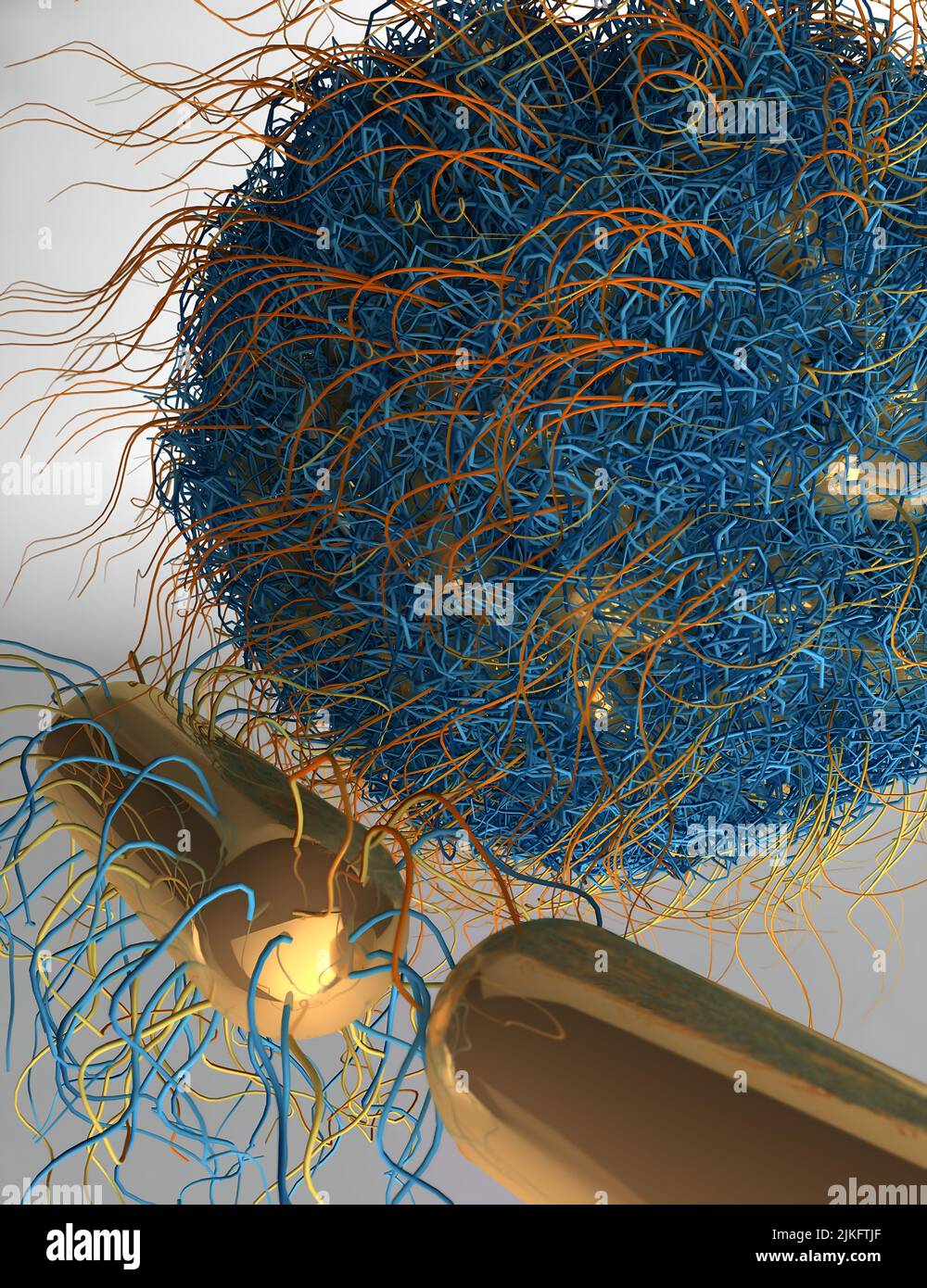 This image is of a nanovesicle assembled from individual gold nanorods. The beard has a polymer coating on the surface of the gallbladder. Stock Photo